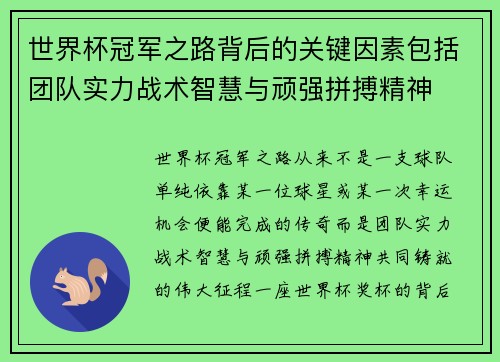 世界杯冠军之路背后的关键因素包括团队实力战术智慧与顽强拼搏精神